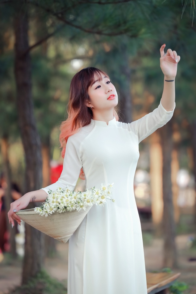 手枪玫瑰